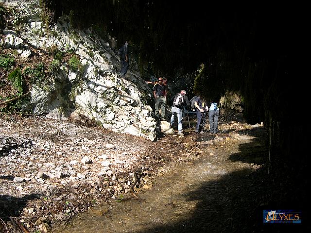 voglia di acqua.JPG